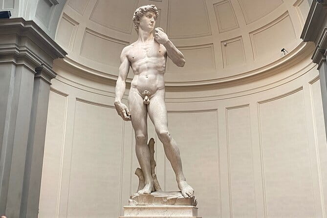 Accademia Gallery: Michelangelo's David and High Renaissance Art - Why seeing David in person is different