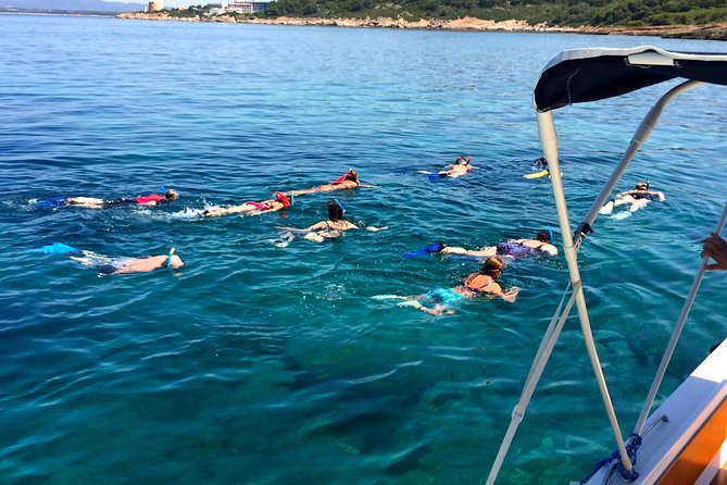 Alghero - Dolphin Watching and Guided Snorkeling (summer tour) - How much value do you get for $78.64?