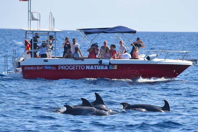 Alghero - Dolphin Watching and Guided Snorkeling (summer tour) - Who will enjoy this boat trip most?