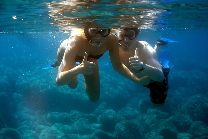Alghero - Dolphin Watching and Guided Snorkeling (summer tour) - The dolphin search, with science instead of a megaphone
