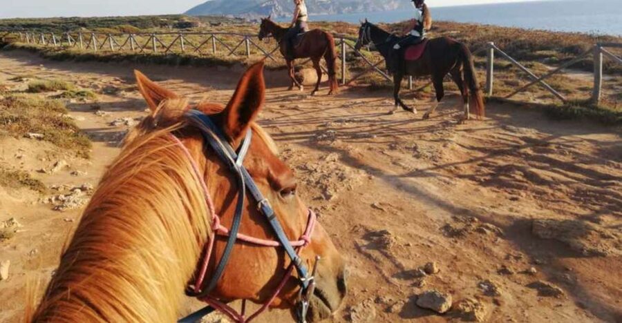 Alghero: Guided Horseback Ride at Lake Baratz & Porto Ferro - Key points to know before booking