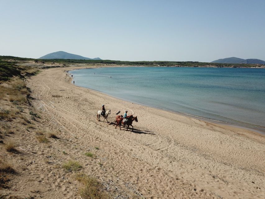 Alghero: Guided Horseback Ride at Lake Baratz & Porto Ferro - Should you book the Lake Baratz and Porto Ferro ride?
