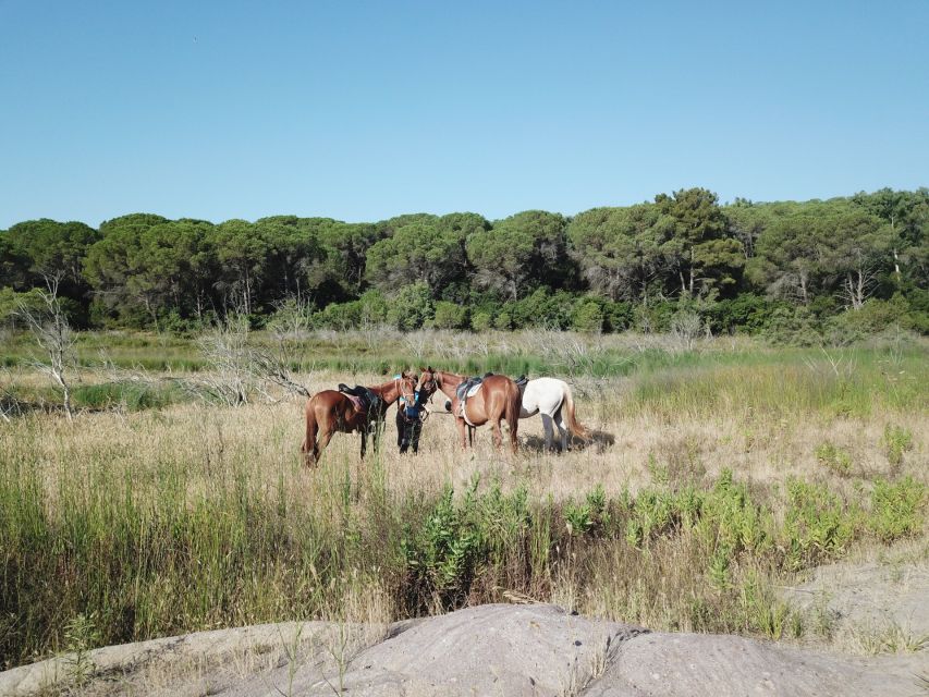 Alghero: Guided Horseback Ride at Lake Baratz & Porto Ferro - Why this ride is different from a standard beach hack