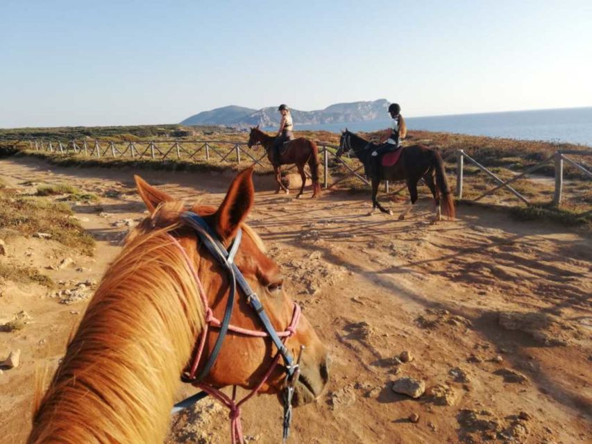 Alghero: Guided Horseback Ride at Lake Baratz & Porto Ferro - Through the pine forest and sandy paths