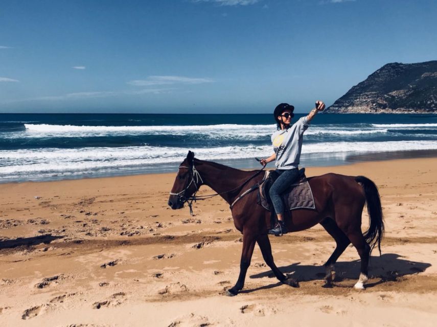Alghero: Guided Horseback Ride at Lake Baratz & Porto Ferro - What the guides and horses add