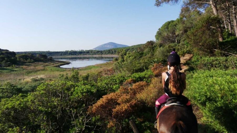 Alghero: Guided Horseback Ride at Lake Baratz & Porto Ferro - Who should book this Alghero activity?