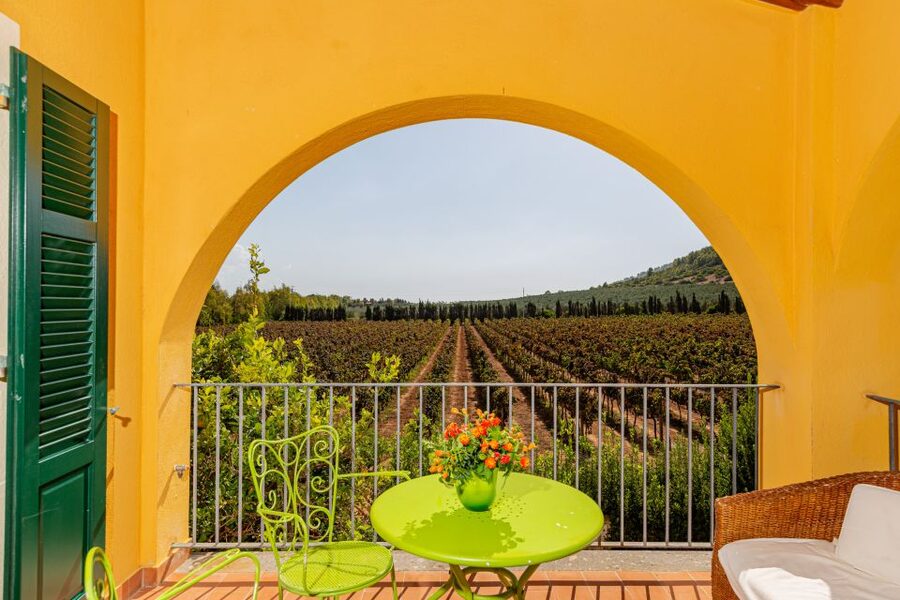 Alghero: Wine and Olive Oil Tasting at a Local Farm - Five Sardinian wines, served with the right local bites