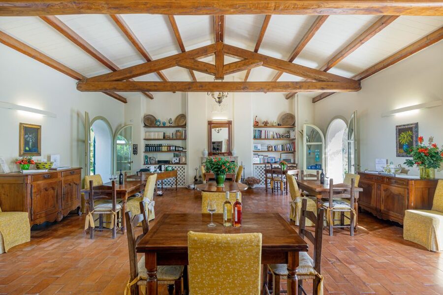 Alghero: Wine and Olive Oil Tasting at a Local Farm - The olive oil tasting is more than a final sample