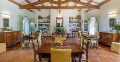 Wine and Olive Oil Tasting at a Local Farm