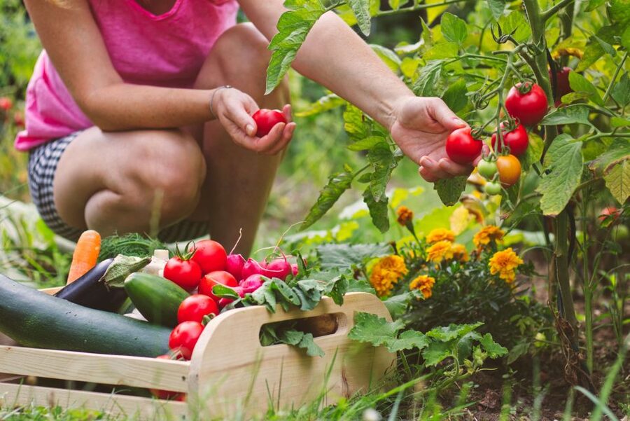 Amalfi: Cooking Class and Farmhouse Visit With Meal - Should you book this Amalfi cooking class?