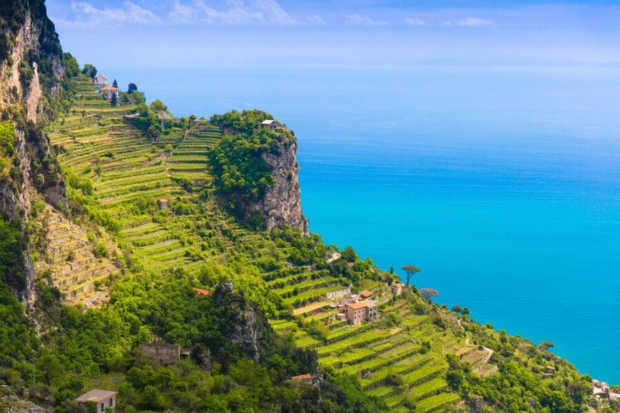 Amalfi: Cooking Class and Farmhouse Visit With Meal - A quiet finish among the lemon trees