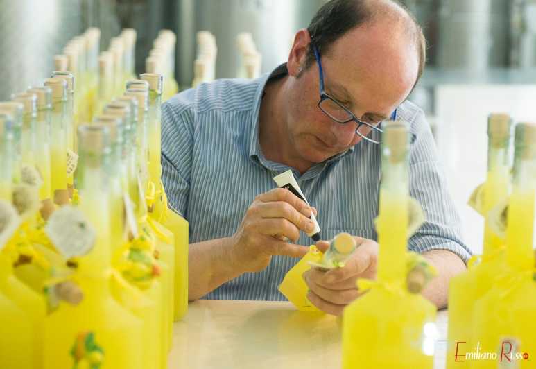 Amalfi: Vertical Lemon Farm Tour, Tastings, and Rural Museum - Why Amalfi’s lemon terraces are worth your time