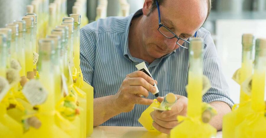 Amalfi: Vertical Lemon Farm Tour, Tastings, and Rural Museum - Walking the six-generation lemon farm