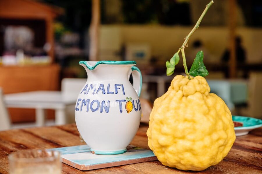 Amalfi: Vertical Lemon Farm Tour, Tastings, and Rural Museum - Learning what makes the Amalfi lemon different