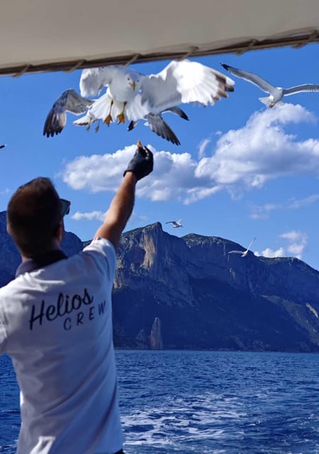 Arbatax: Gulf of Orosei Day Tour by Boat - Key points to know before you book