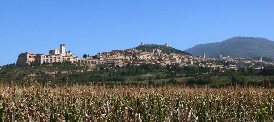 Assisi: Walking Tour with St. Francis Basilica Visit - San Rufino and the story of Saint Clare