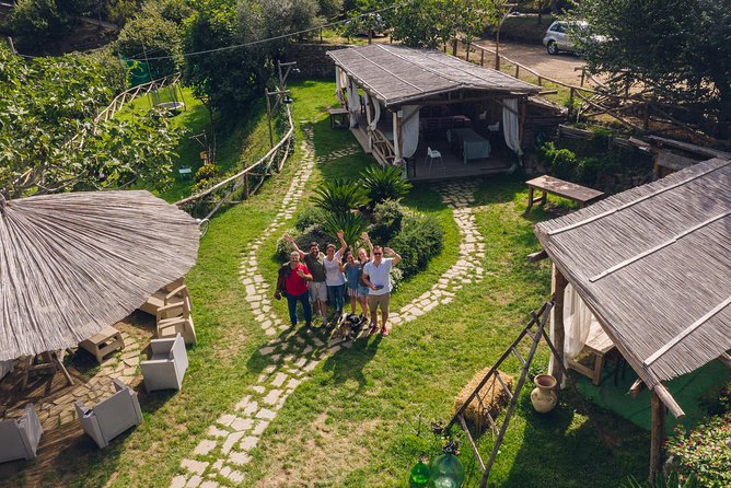 Authentic Farm Tour with Pizza, Cheese, Wine & Limoncello Tasting - A farm visit that turns lunch into the main event