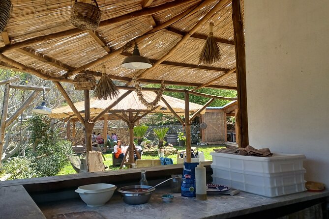 Authentic Farm Tour with Pizza, Cheese, Wine & Limoncello Tasting - Making pizza with help from Anna and the family
