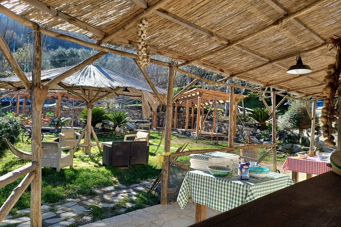 Authentic Farm Tour with Pizza, Cheese, Wine & Limoncello Tasting - Starting in Sorrento at 11:30 am