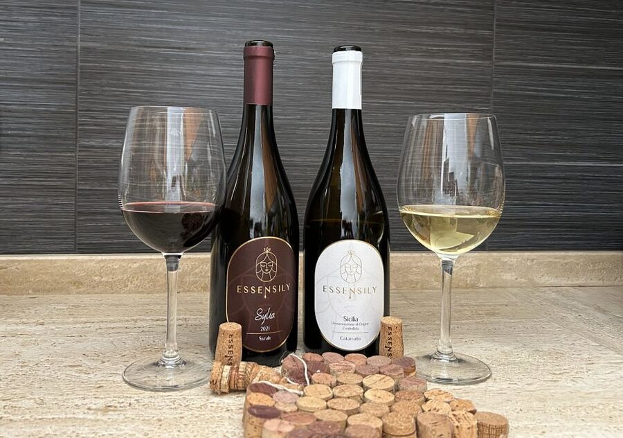 Balestrate: Olive Grove Tour with Wines & Olive Oil Tasting - Timing, languages, and accessibility