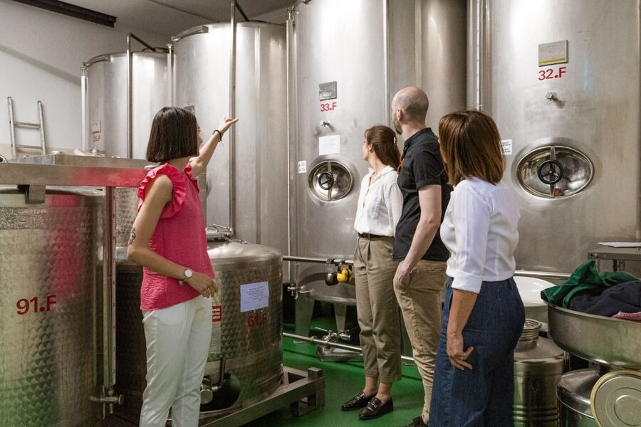 Bardolino: Lake Garda Oil Mill Tour with Olive Oil Tasting - Key points at a glance