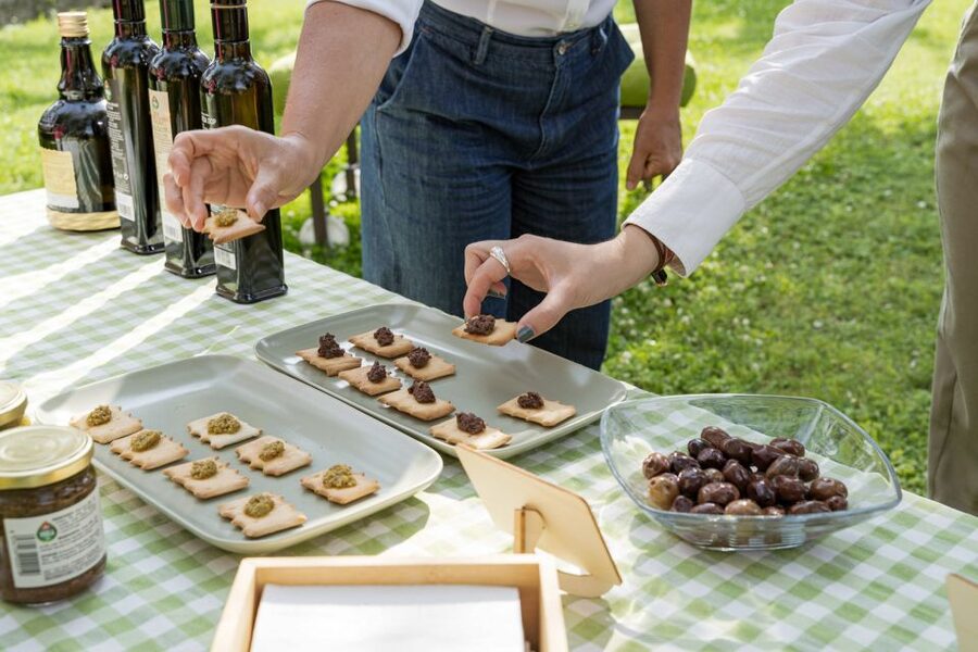 Bardolino: Lake Garda Oil Mill Tour with Olive Oil Tasting - Should you book the Olio Viola tour?