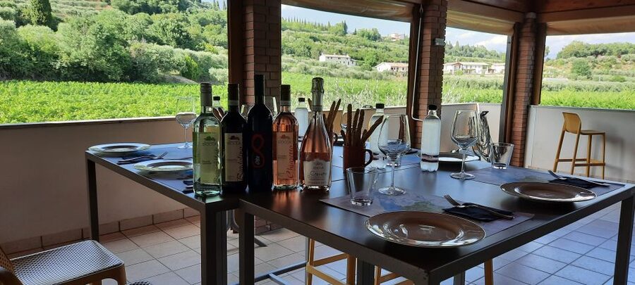 Bardolino: Vineyard Tour with Wine, Olive Oil & Food Tasting - A family winery on Rocca del Garda