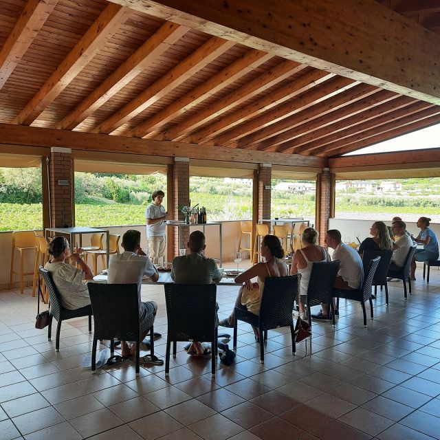 Bardolino: Vineyard Tour with Wine, Olive Oil & Food Tasting - Five wines, from Chiaretto to Adelaide