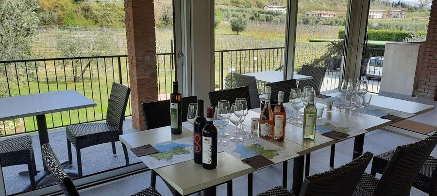 Bardolino: Vineyard Tour with Wine, Olive Oil & Food Tasting - Who will enjoy La Rocca most?