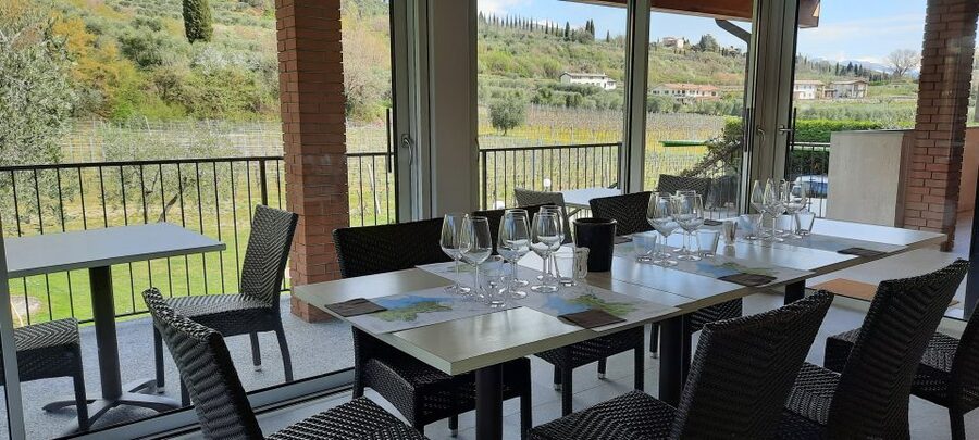 Bardolino: Vineyard Tour with Wine, Olive Oil & Food Tasting - Should you book this Bardolino vineyard tour?