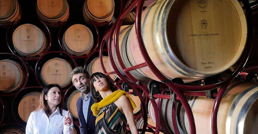 Bolgheri: Winery Tour with Wine Tasting - A quick introduction to Bolgheri wine country