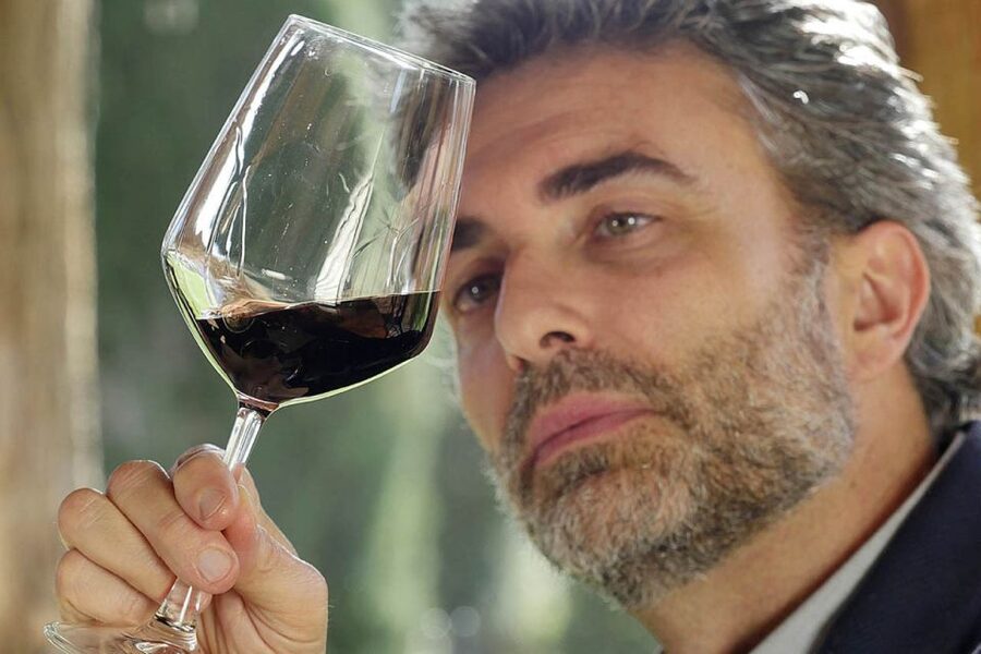 Bolgheri: Winery Tour with Wine Tasting - Who should book this Bolgheri winery tour?