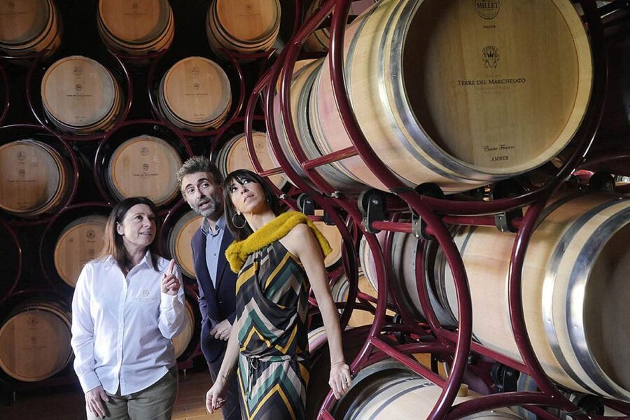 Bolgheri: Winery Tour with Wine Tasting - Classic tasting: the best value for most visitors