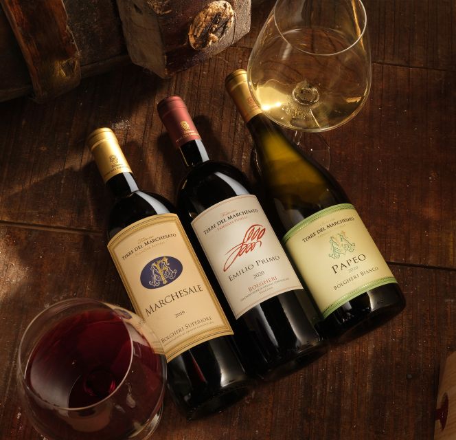 Bolgheri: Winery Tour with Wine Tasting - Sensorial tasting: an extra tool for curious tasters