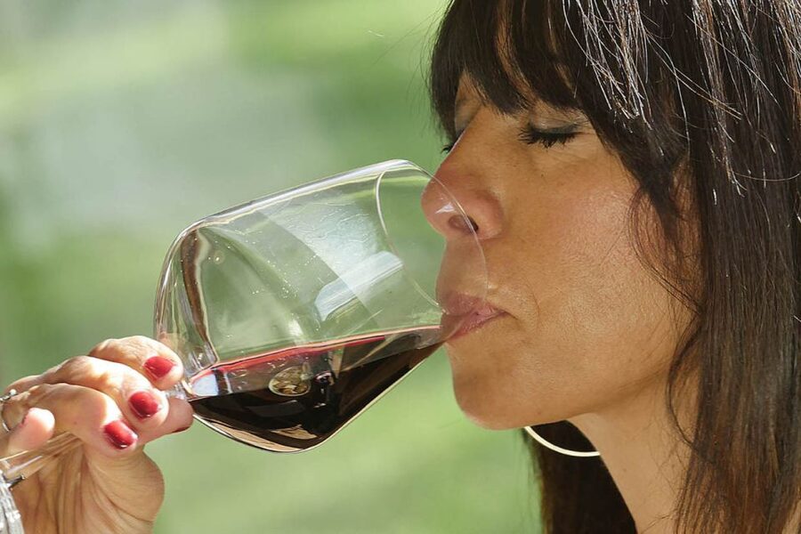 Bolgheri: Winery Tour with Wine Tasting - Premium tasting: four single-variety red wines