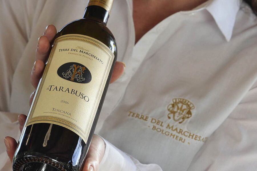 Bolgheri: Winery Tour with Wine Tasting - Bruschetta and olive oil make the tasting feel local