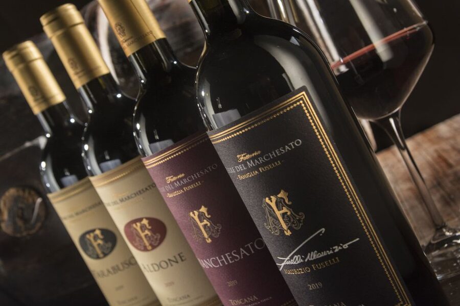 Bolgheri: Winery Tour with Wine Tasting - Inside the winery, from grapes to bottles