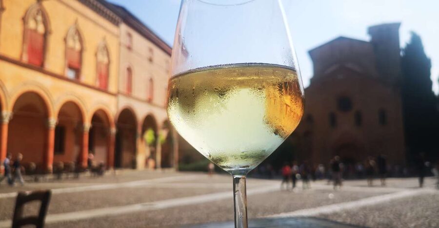 Bologna: City Center Guided Wine Walking Tour - Meeting Filippo in Piazza del Nettuno