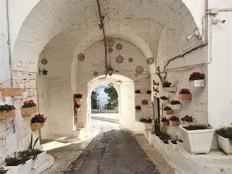Brindisi: Alberobello, Locorotondo & Ostuni Tour with Brunch - Who will enjoy this tour most