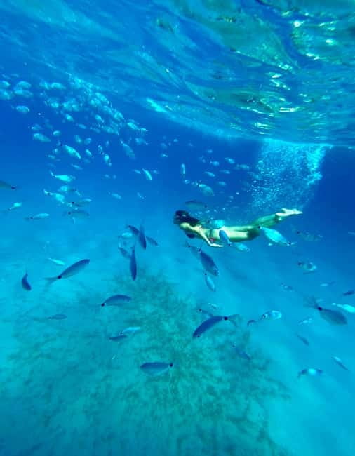 Cagliari: Boat Tour with Snorkeling, GoPro & Sardinian Beer - The final snorkeling and marine-life stop