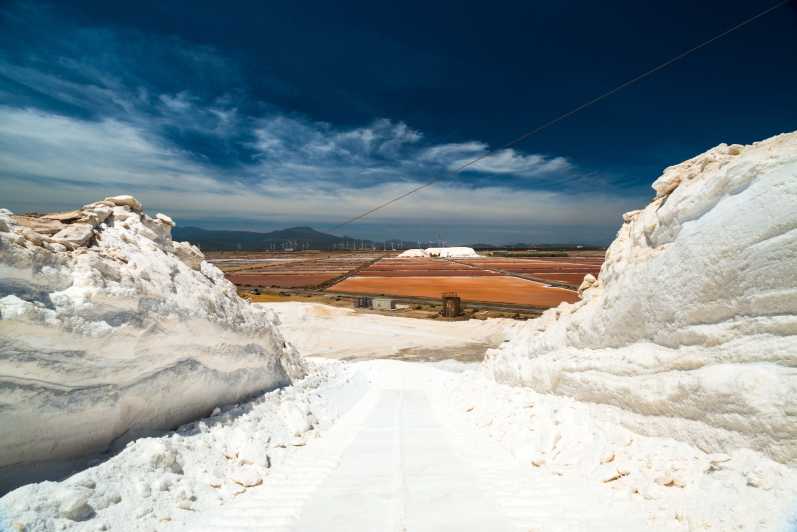 Cagliari: Conti Vecchi Salt Flats Train and Tour - Quick points before you book
