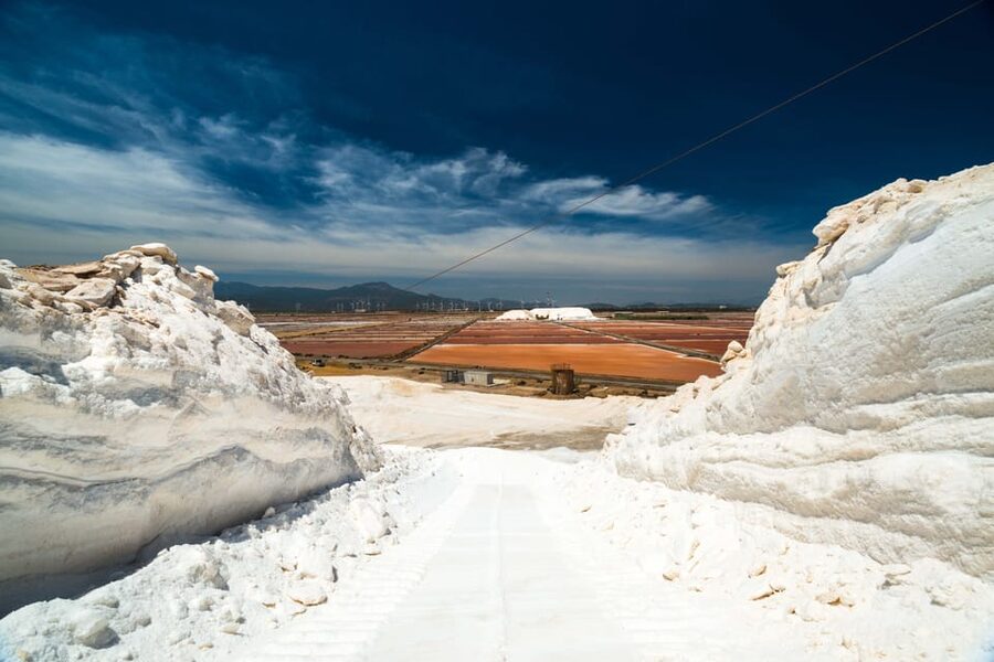 Cagliari: Conti Vecchi Salt Flats Train and Tour - The museum, films, and salt-worker story