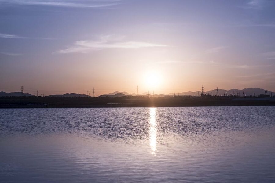 Cagliari: Conti Vecchi Salt Flats Train and Tour - The train through Santa Gilla Basin