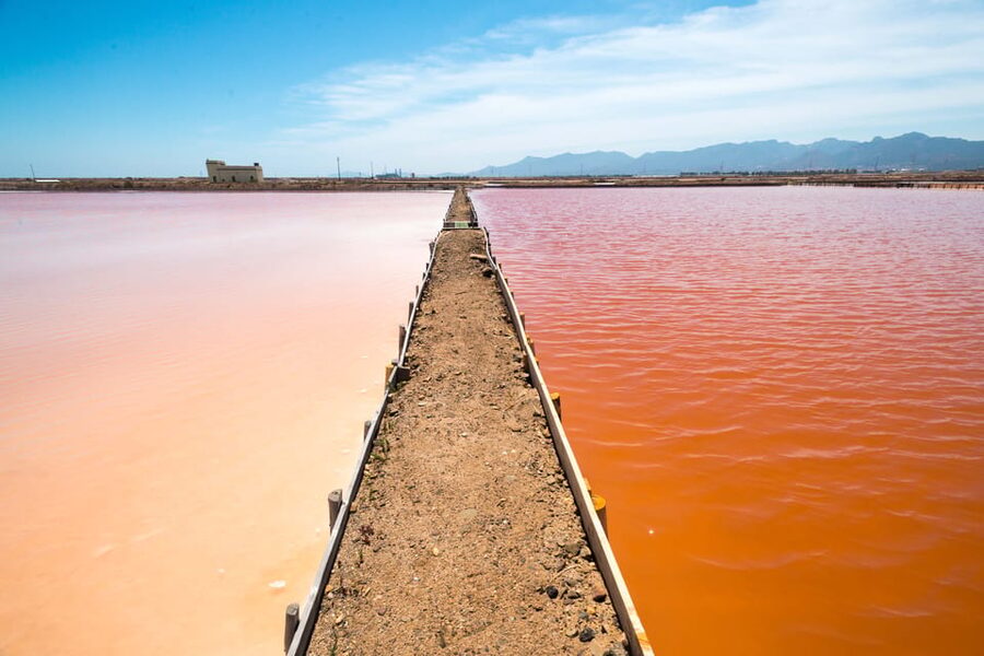 Cagliari: Conti Vecchi Salt Flats Train and Tour - Macchiareddu and the lives behind the industry