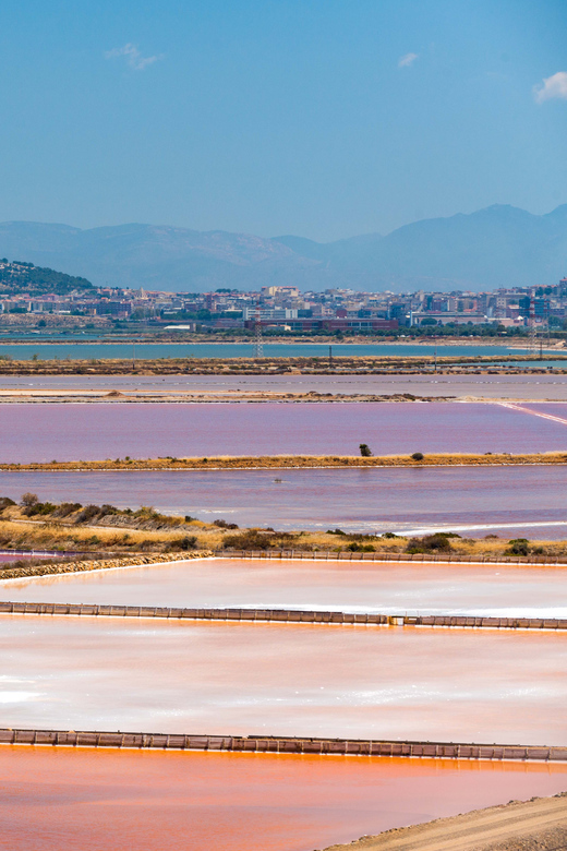Cagliari: Conti Vecchi Salt Flats Train and Tour - How much value do you get for $14?