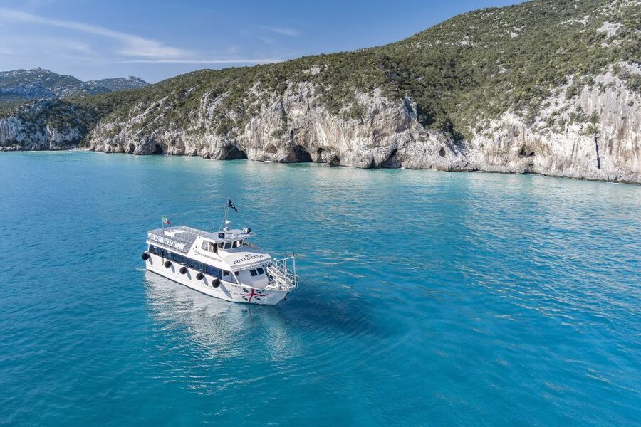 Cala Gonone: Grotta del Bue Marino and Cala Luna Boat Tour - Who should choose this Cala Gonone outing?