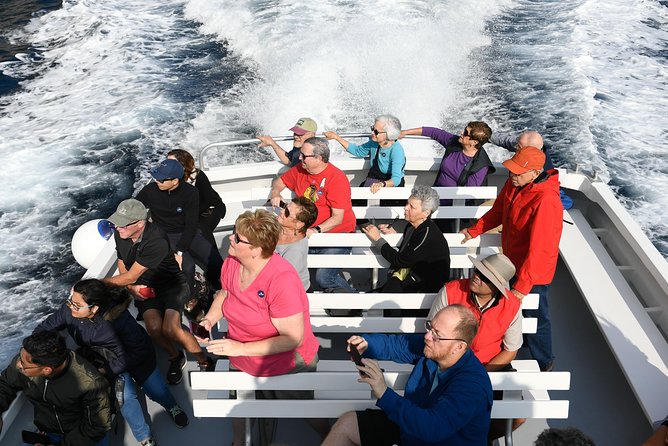 Capri Coast to Coast: Boat Tour with Optional Blue Grotto - What the boat is really like