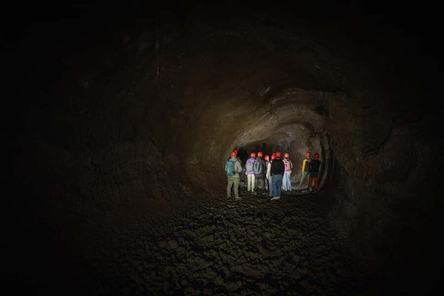 Catania: Amazing Etna Morning Tour with Pickup and Drop-Off - Grotta delle Nevi and the underground side of the volcano