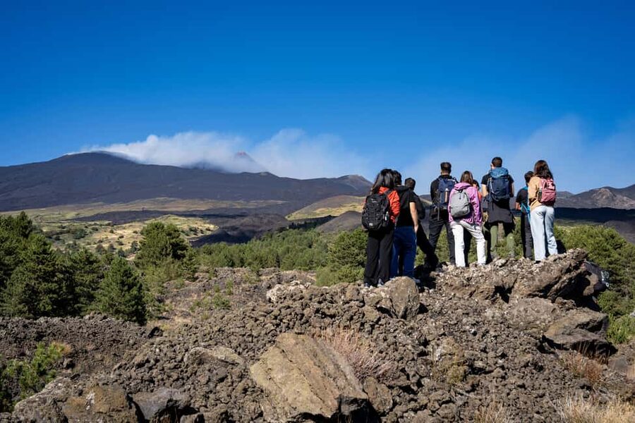 Catania: Amazing Etna Morning Tour with Pickup and Drop-Off - Walking across lava flows and toward the volcano