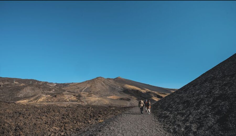 Catania: Etna Morning Excursion with Tasting and Pickup - Ancient lava flows and the underground cave